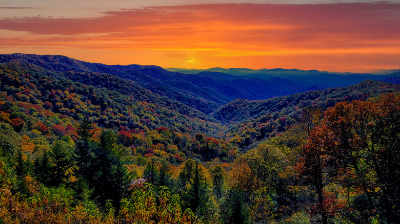 Great Smoky Mountains National Park