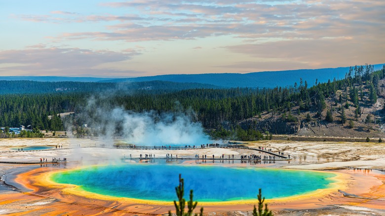 a spring in yellowstone national park