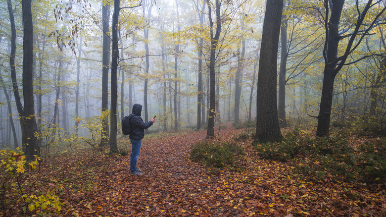 Lone hiker in foggy woods