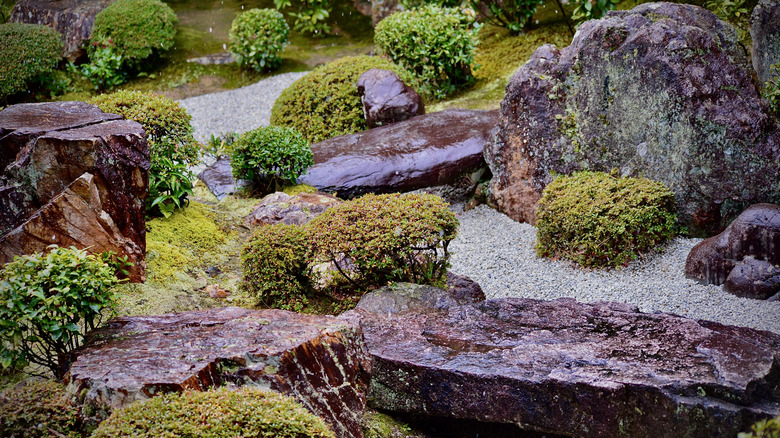 Moss garden with rocks