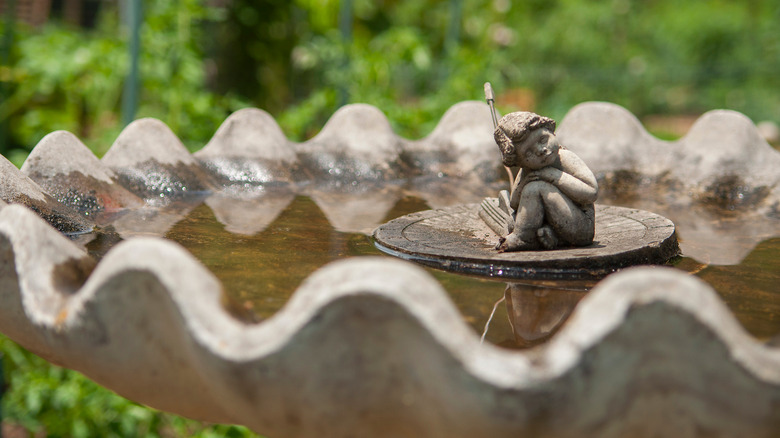 Bird bath with dirty water