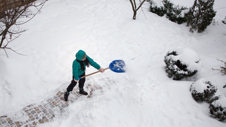 Shoveling out of a blizzard 