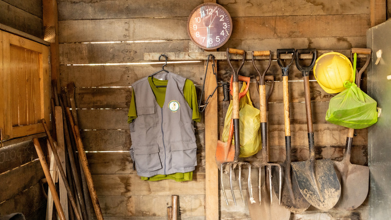 Tools and outdoor apparel hanging in garden shed