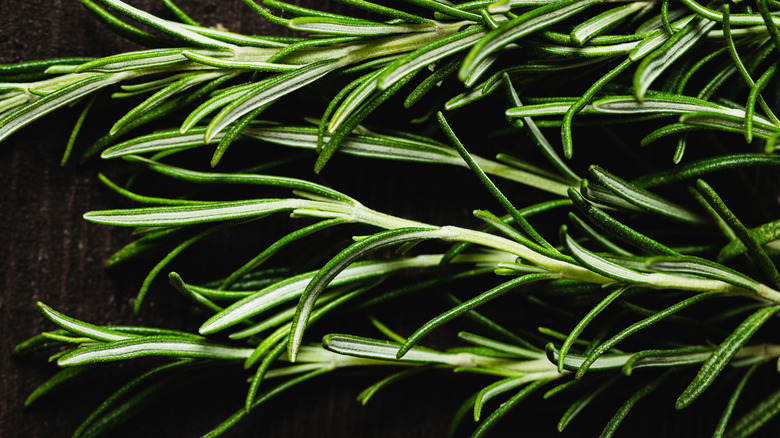 sprigs of rosemary