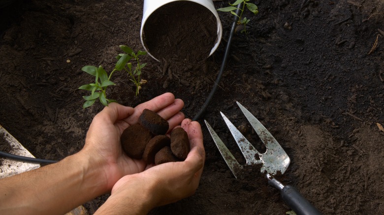 Used ground coffee near garden