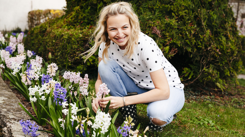 Female gardener with hyacinths along the driveway