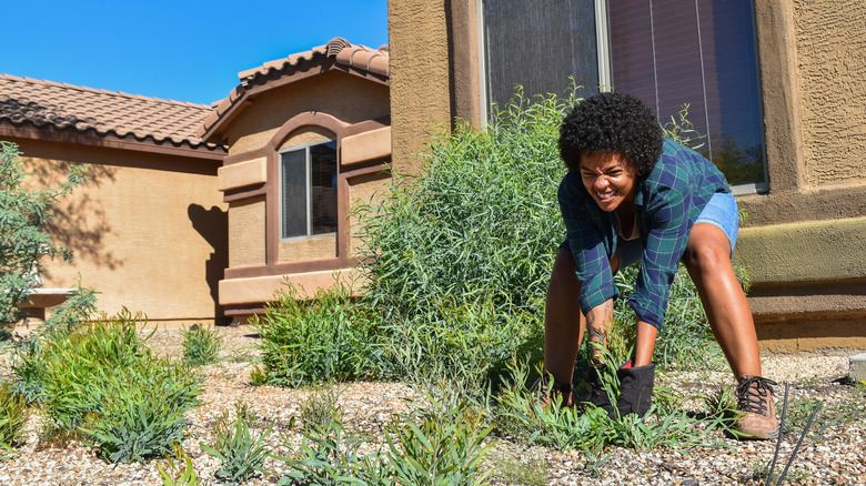 Woman yanking weeds from yard