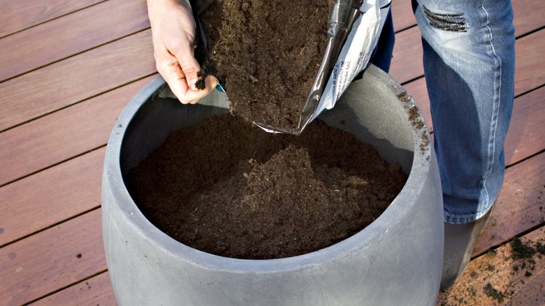 Woman filling large planter with soil