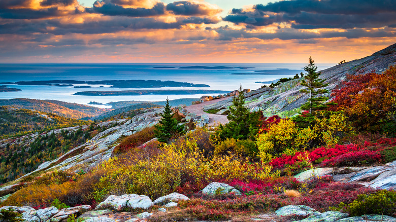 Colorful view of Acadia National Park