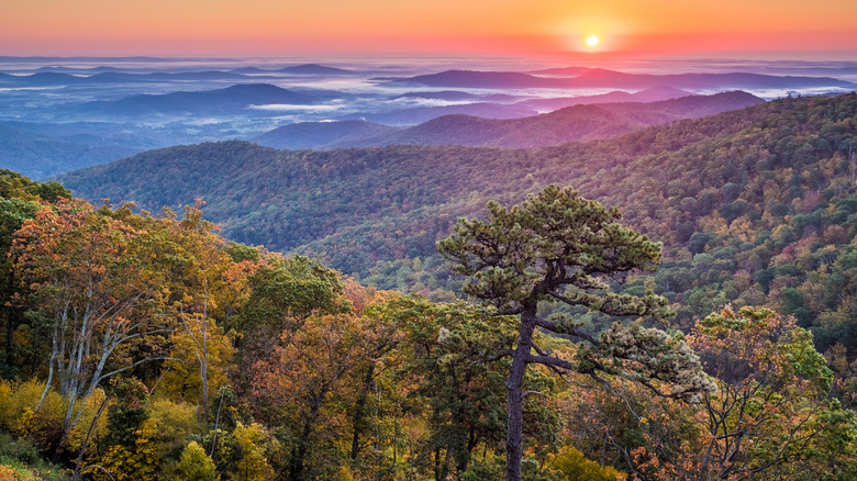 Scenic overlook of Shenandoah National Park