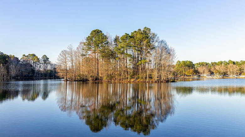 View of Lake Marion South Carolina 