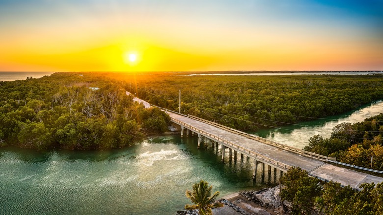 Sunset across a mangrove forrest in the Florida keys