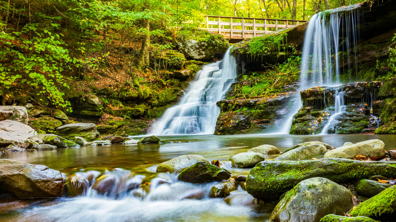 Diamond Notch Falls along Devil's Path