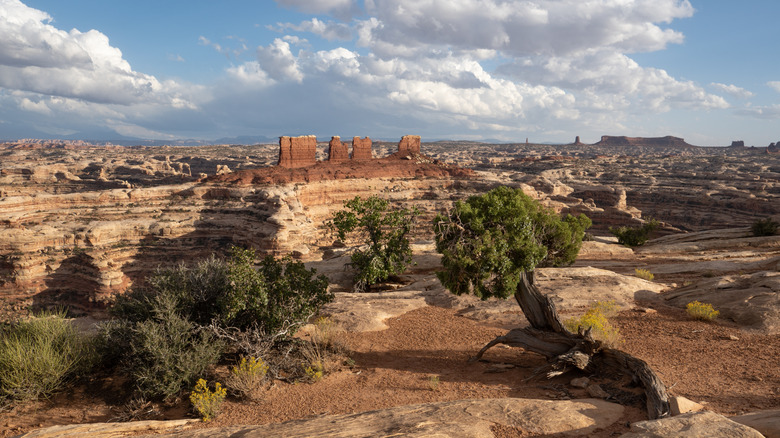 The Maze District in Canyonlands National Park, Utah