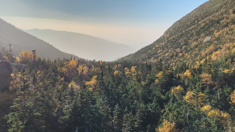 Aerial view of Huntington Ravine Trail in autumn