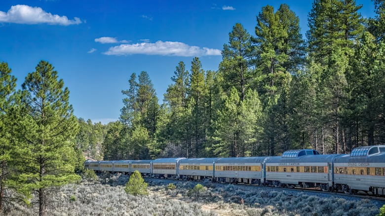 Grand Canyon Railway Train in Pine Forest