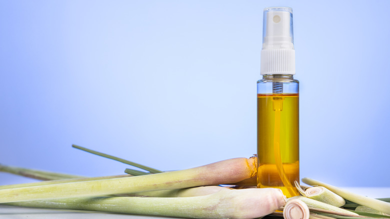 Natural mosquito repellent using lemongrass