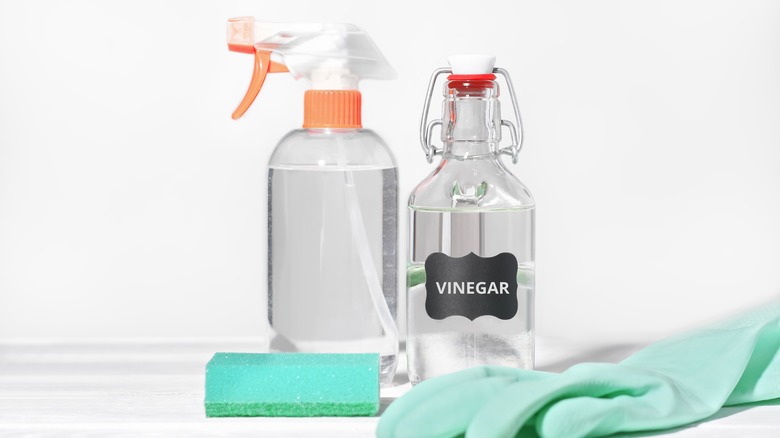 Bottle of vinegar and cleaning materials