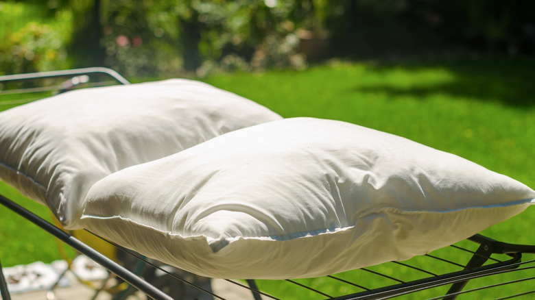 Two pillows on drying rack outside