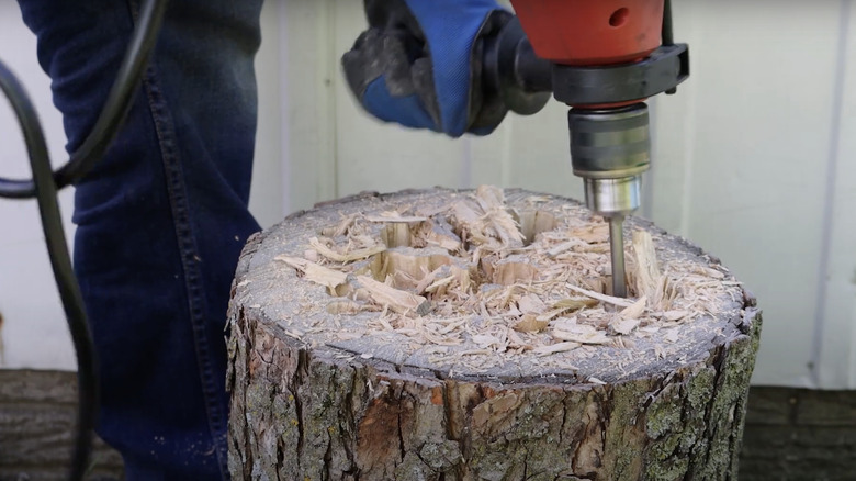 Drilling into top of log