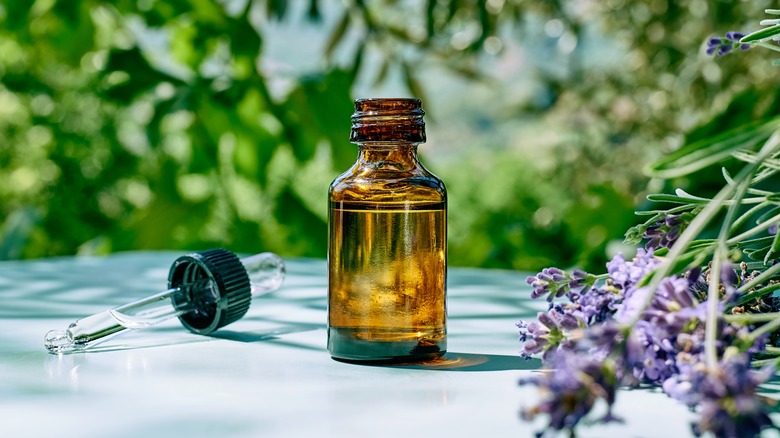 Lavender oil and flowers in garden