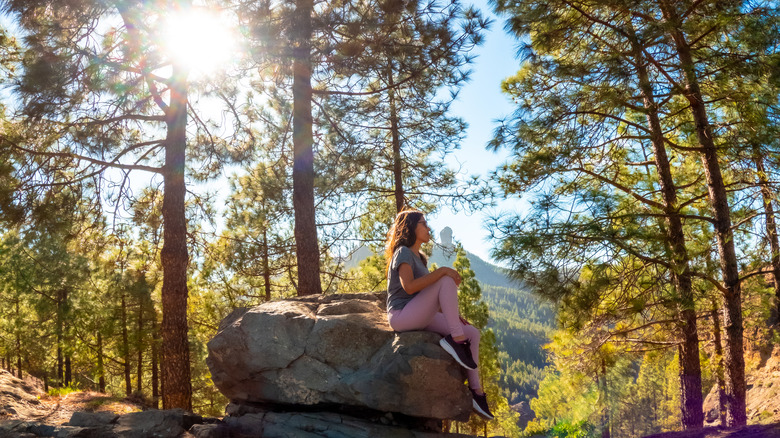 hiker taking a break in arizona forest