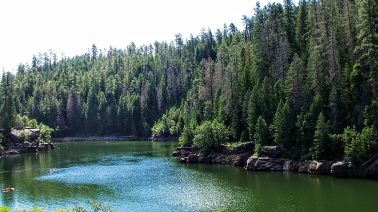 blue ridge reservoir arizona