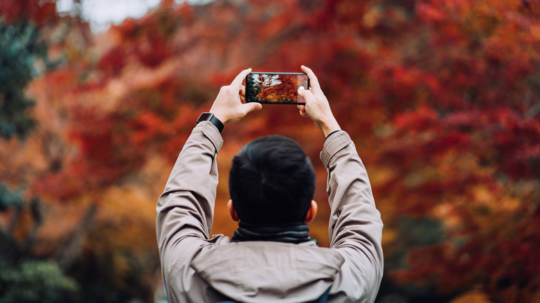 Man taking photos of fall leaves