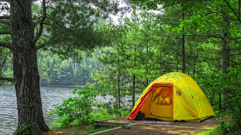 Tent in Voyageurs National Park