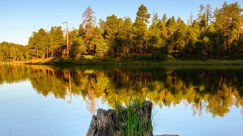 Woods Canyon Lake on clear day