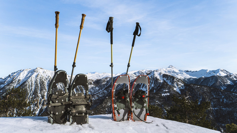 Snowshoes and poles displayed on snow-covered hill