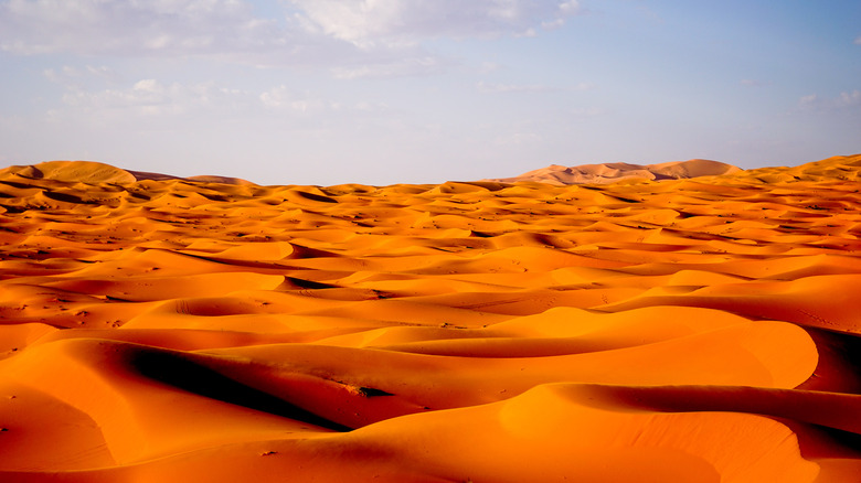 Sand dunes of Erg Chebbi