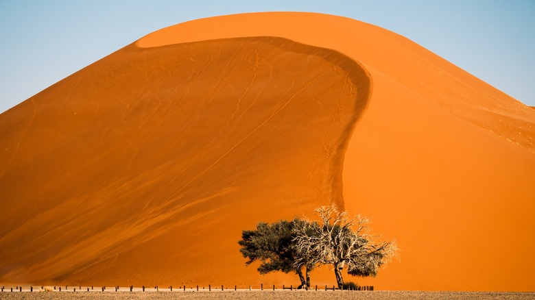 View of Dune 45