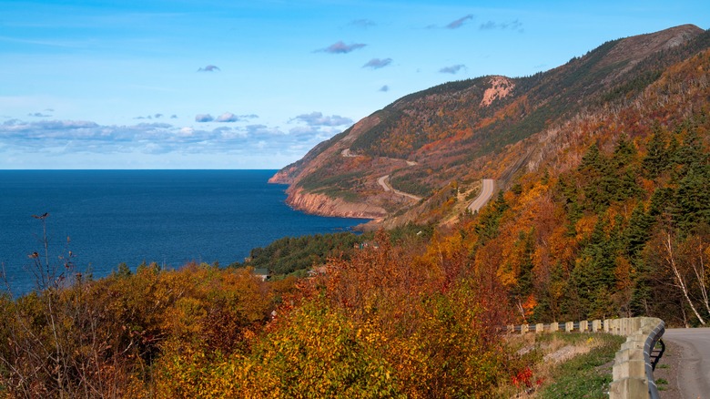 Autumn foliage along Cabot Trail coastline