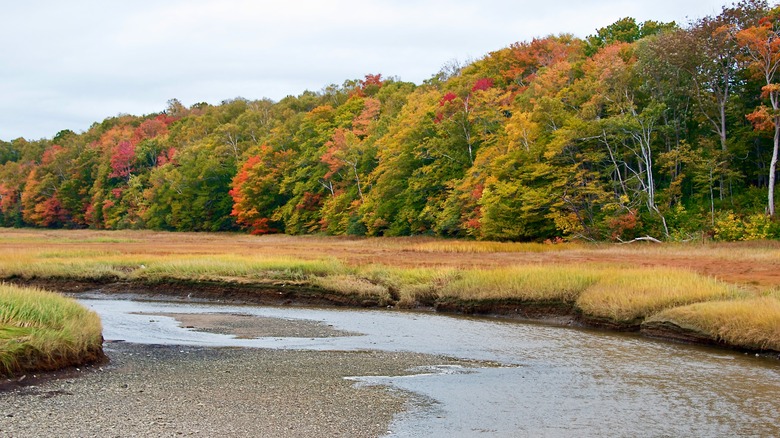 Fall colors along Bay of Fundy