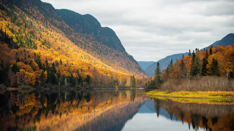 lake Parc National de la Jacques-Cartier