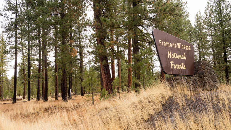 Fremont-Winema National Forest, view with entrance sign