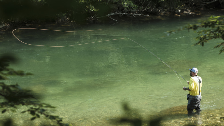 Fly fisherman in stream