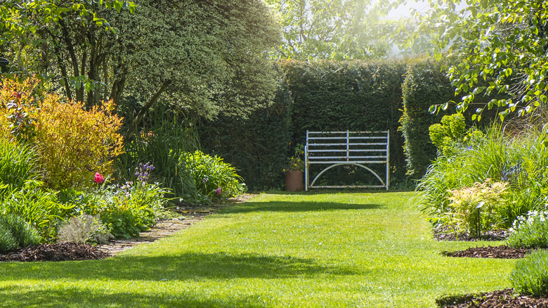 green lawn with bench in background