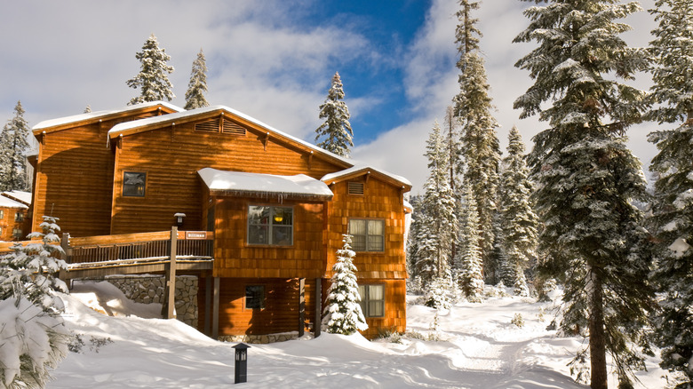 Wuksachi Lodge accommodation, set against winter backdrop