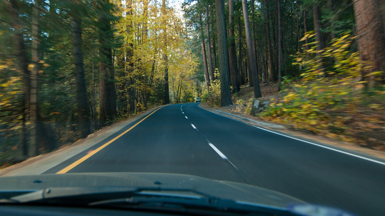 Driving through Yosemite National Park