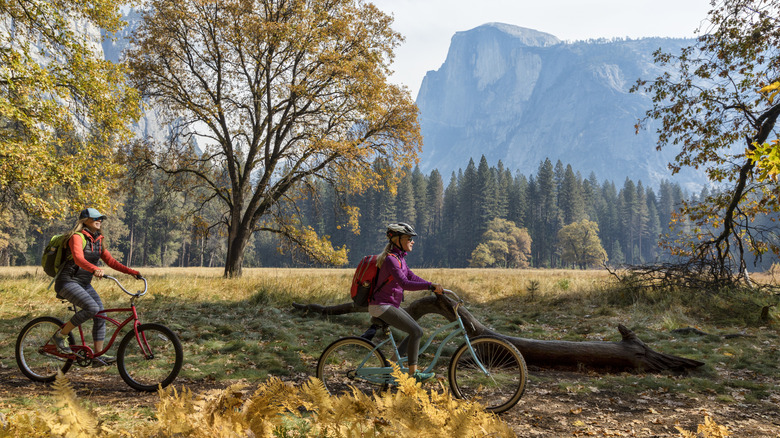 Two women biking through Yosemite