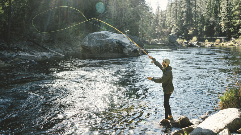 Angler in one of Yosemite's rivers