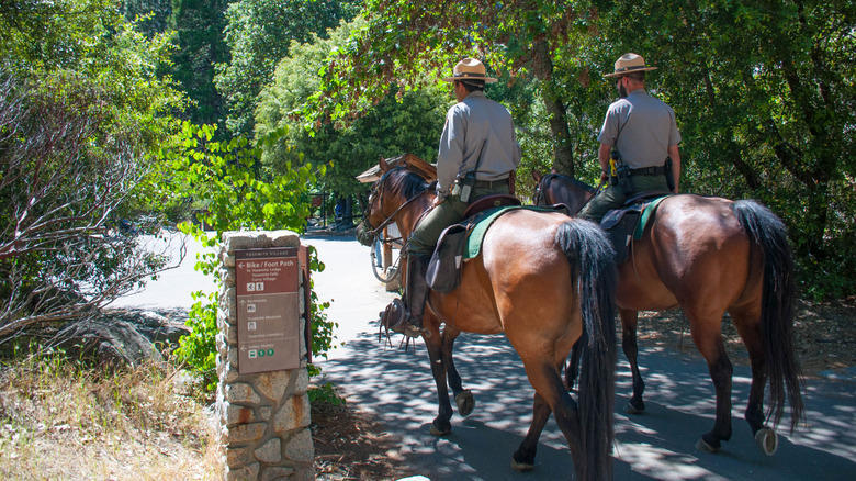 Park rangers on horseback