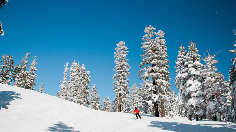 Downhill skier wearing a red jacket