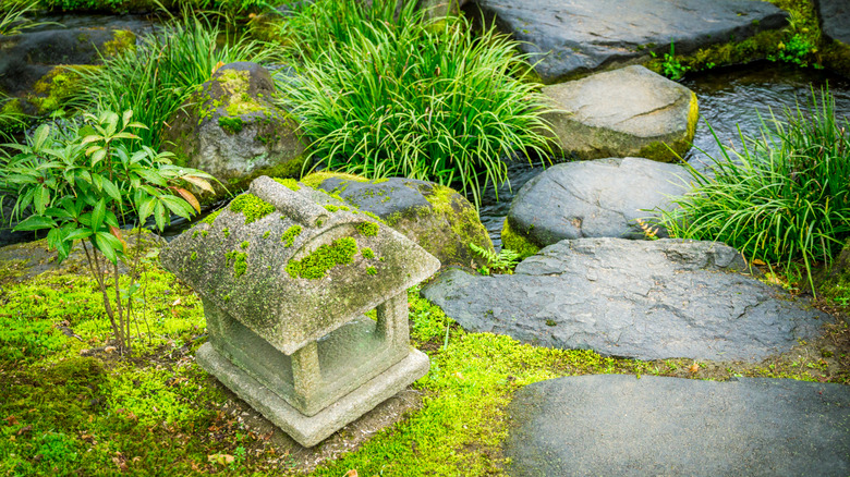 Moss growing in a garden with a stone house and steps