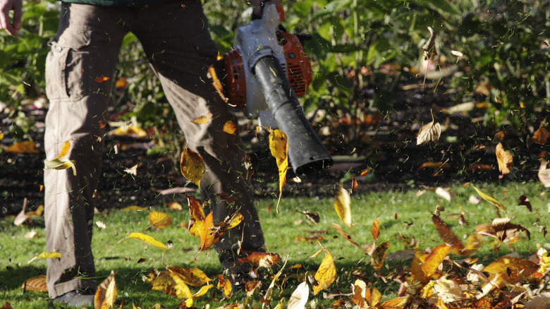 person lowing leaves with leaf blower in a yard