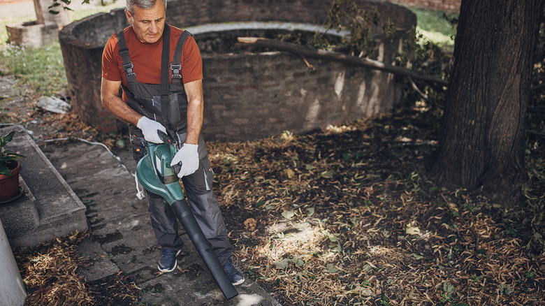 man using a leaf blower to clean a garden