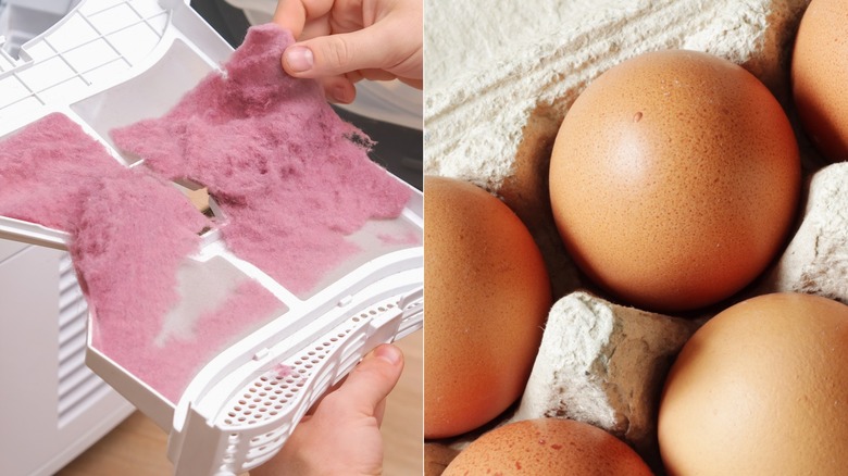 Side-by-side of dryler lint and egg carton