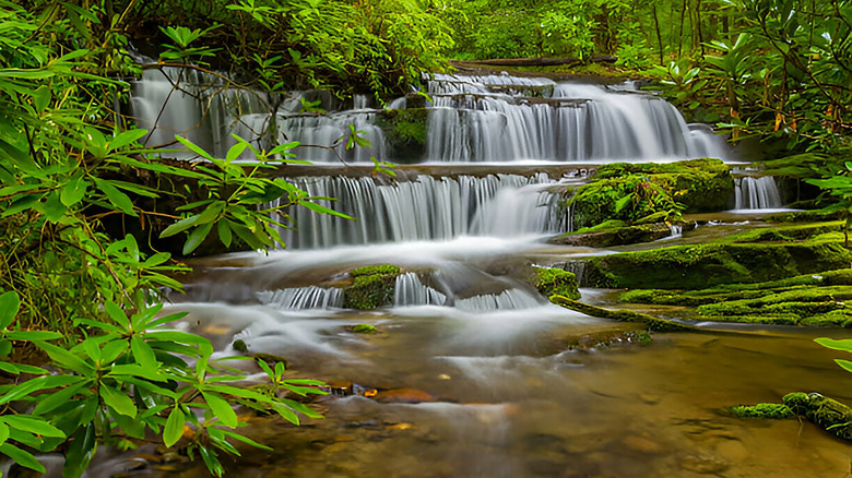 Waterfall in Great Smoky Mountain National Park